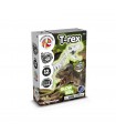Fossil Excavation Kit I Juego educativo para ninos
