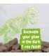 Fossil Excavation Kit I Juego educativo para ninos