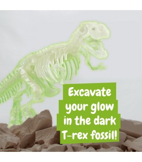 Fossil Excavation Kit I Juego educativo para ninos