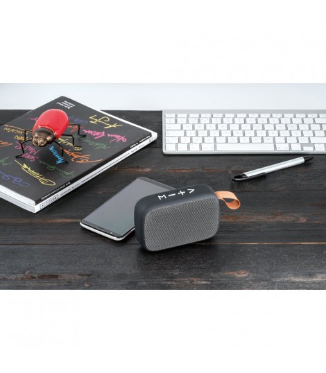 GANTE Altavoz portatil con microfono