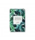 TROPICAL BLOSSOM Jabones enriquecidos con aceite de oliva 160g
