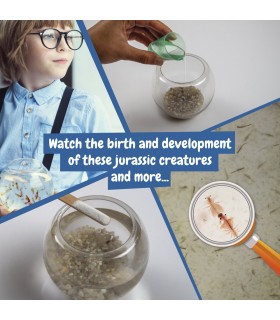 Jurassic Pets Kit I Juego educativo para ninos