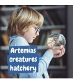 Jurassic Pets Kit I Juego educativo para ninos