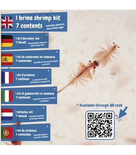 Jurassic Pets Kit I Juego educativo para ninos
