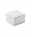 Premio cubo de cristal
