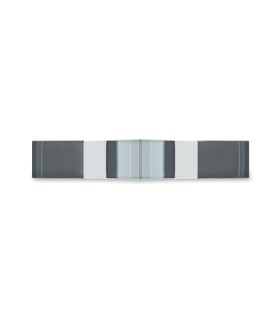 Premio estrella de cristal