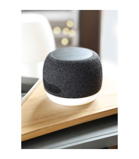 Altavoz inalambrico 53 15 W