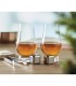 Set vasos de cata para whisky
