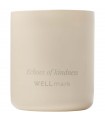 Vela perfumada Wellmark