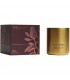 Vela perfumada Wellmark