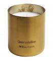 Vela perfumada Wellmark
