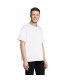 LEGACY CAMISETA OVERSIZE