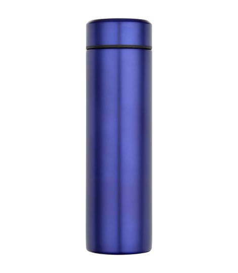 Termo de acero inoxidable de doble pared de 450 ml con colador de te Taylor