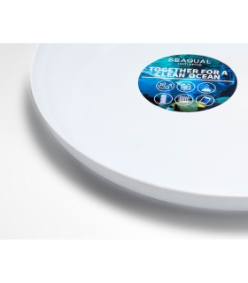 Frisbee SEAQUAL