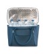 Bolsa de picnic RPET