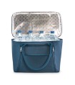Bolsa de picnic RPET