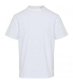 Camiseta oversize unisex de 280 g m2 organica con certificado OCS Lucas